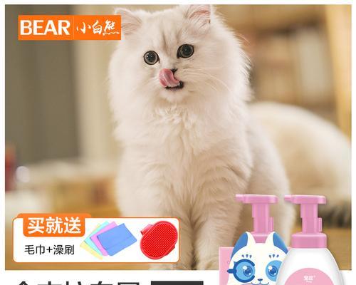 如何给波斯猫洗澡？（宠物主人必看的洗澡技巧）