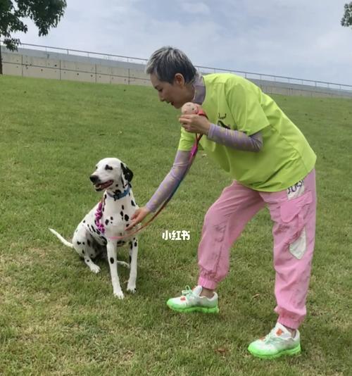 探秘斑点犬的叫声之谜（从生理、行为和环境三方面解读斑点犬的叫声）