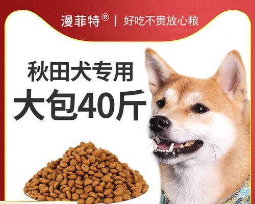 以柴犬几个月开始补钙的注意事项（从幼犬开始，让你的宠物健康成长）