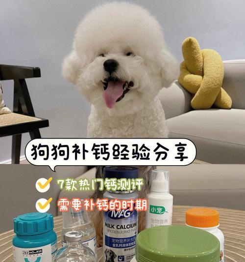 宠物狗狗为何发育缓慢？（了解原因，做好养护）