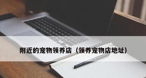 如何训练阿富汗犬趴下？（宠物爱好者必备的训练技巧，教你轻松驾驭“长毛象”。）