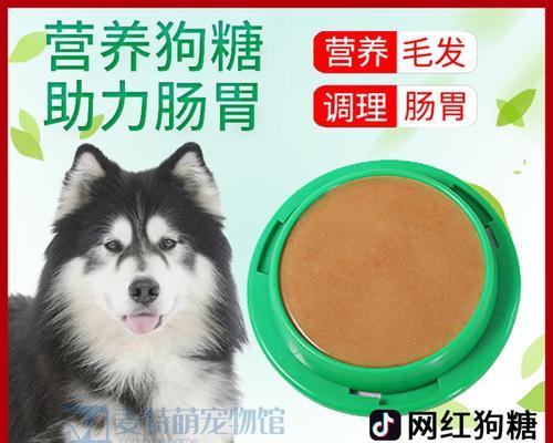 宠物茶杯犬的益生菌摄入方式与注意事项（如何让茶杯犬健康摄入益生菌？茶杯犬益生菌摄入的重要性）