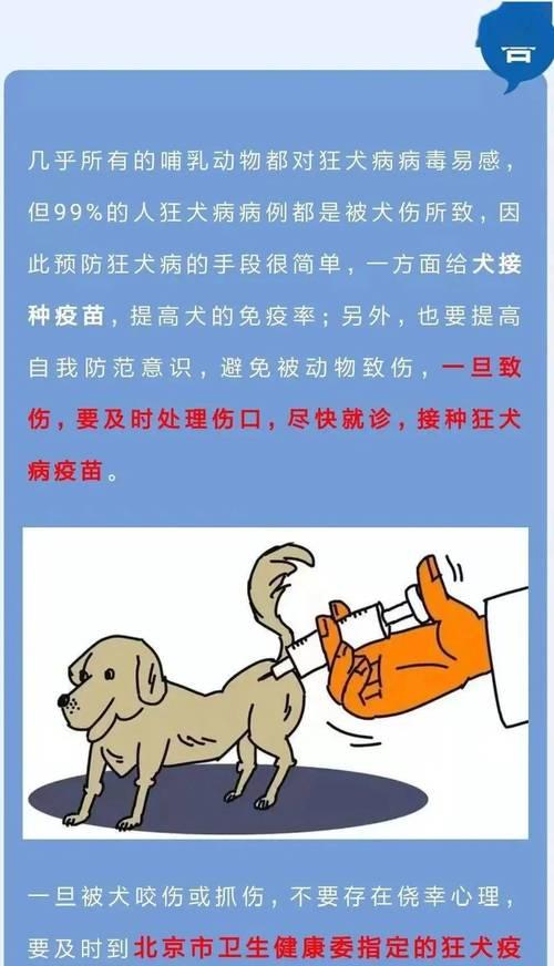 狂犬病防治，宠物养护的责任（宠物与狂犬病的关系，如何避免宠物感染？）