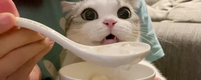 宠物猫咪可否喝酸奶？（猫咪的饮食需求及酸奶的营养成分分析）