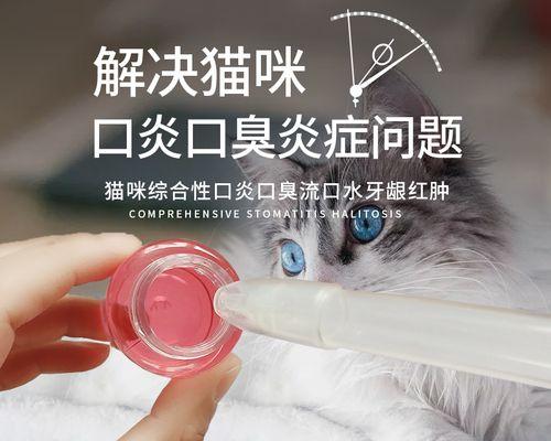 如何为宠物猫清洁口腔？（宠物猫口腔保健指南）