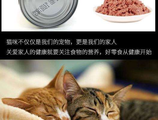 猫咪只吃湿粮怎么办？（解决猫咪挑食的问题，让猫咪健康成长）