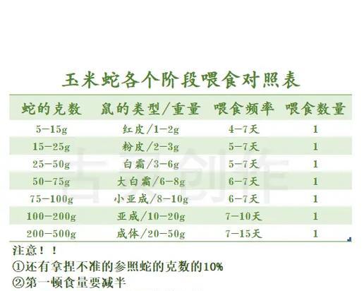 英种斑点兔饲养全攻略（打造舒适家园，助力兔子健康成长）