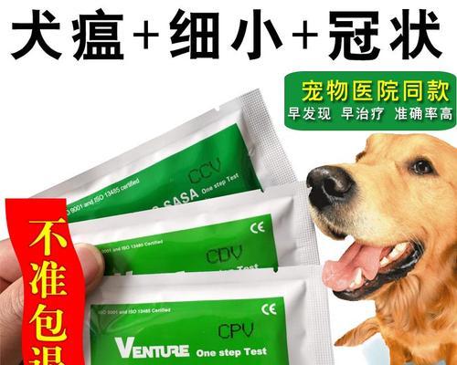 狗狗冠状拉稀喂什么药？（为宠物选择合适的药品是保障它健康的关键；）