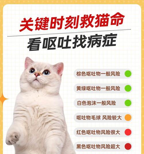 宠物猫猫常见疾病介绍（从健康到疾病，如何给爱猫守护）