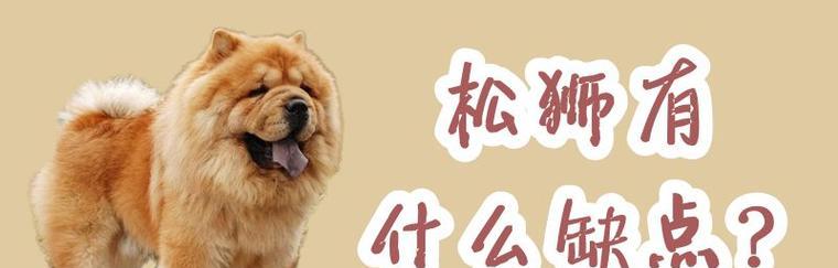 夏季养护松狮犬的注意事项（宠物养护小常识，让松狮犬过个舒适的夏天）