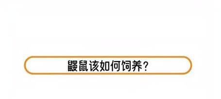 尖阁鼹鼠的饲养方法（详细介绍尖阁鼹鼠的饲养方法及技巧）