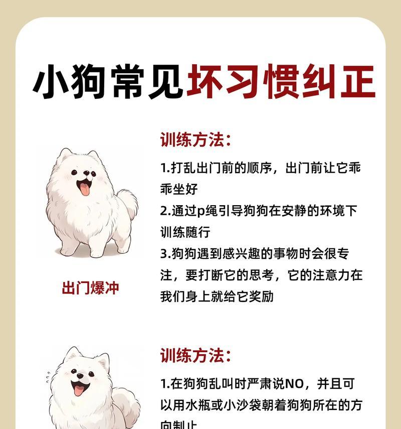 如何正确饲养杜高犬（详解杜高犬的饲养要点，让你成为养宠专家）