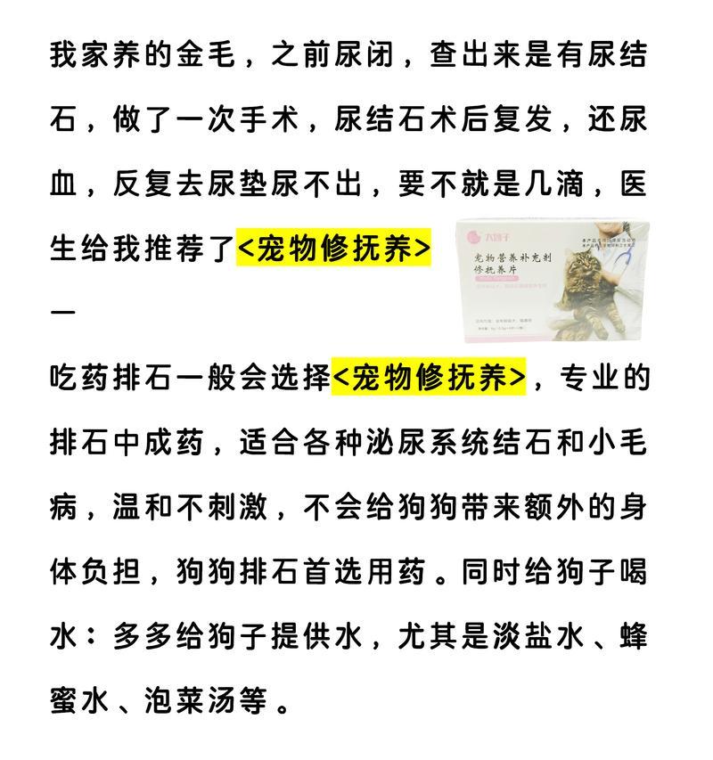 狗狗尿味正常吗？（如何判断狗狗尿味是否健康？——了解狗狗的健康状况）