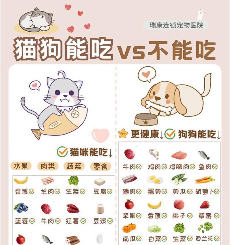 狗不能吃的食物（宠物饮食安全，让爱犬健康一生）