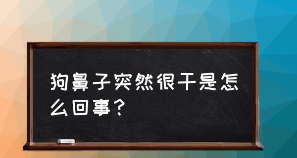 狗狗鼻子为什么会干？（探究狗狗鼻子干燥的原因及应对方法）