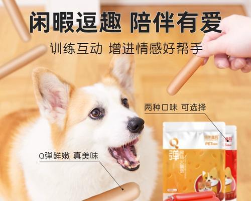 如何通过金毛犬训练培养优秀宠物？（金毛犬训练步骤详解，轻松打造听话、忠诚、聪明的宠物）