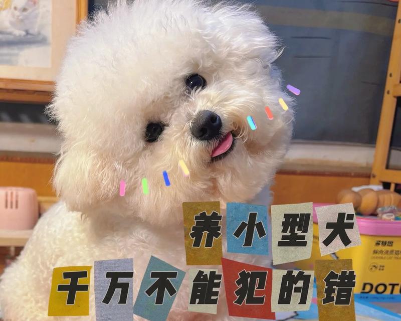 中小型犬的饲养全攻略（如何做好中小型犬的日常护理及喂养？）