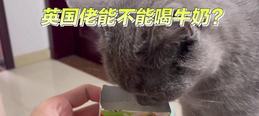 黑狼犬能否喝牛奶？（揭开宠物营养谣言，科学看待狗狗的饮食。）