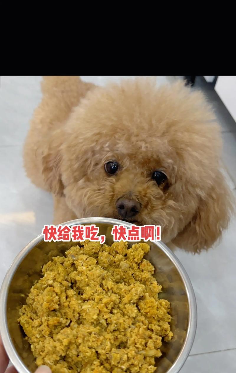 狗狗的营养需求与饮食管理（让你的宠物拥有健康饮食，幸福一生）