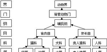 狗狗分类大全（从宠物犬到野生犬的全面解析）