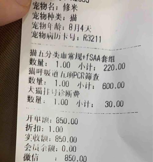 猫杯状病毒（了解猫杯状病毒的症状和治疗方法，保护你的爱猫健康）