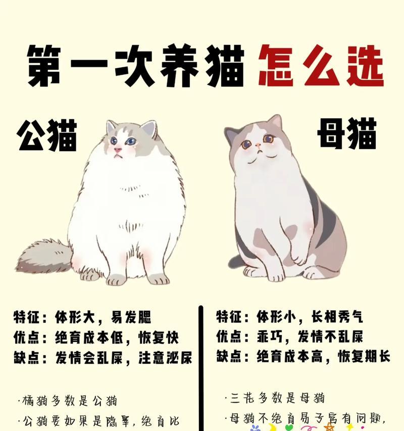 科学喂养猫咪，合理控制每日饮食量（了解猫咪的饮食需求，避免喂食过量与不足）