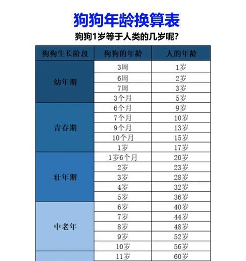 如何准确判断狗狗年龄？（掌握年龄判断的关键指标，正确识别狗狗的年龄阶段）