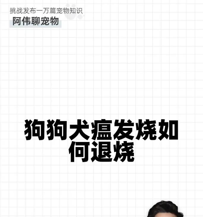 如何准确判断狗狗是否发烧？（以日常活跃度为主要指标，关注身体状况和行为表现）