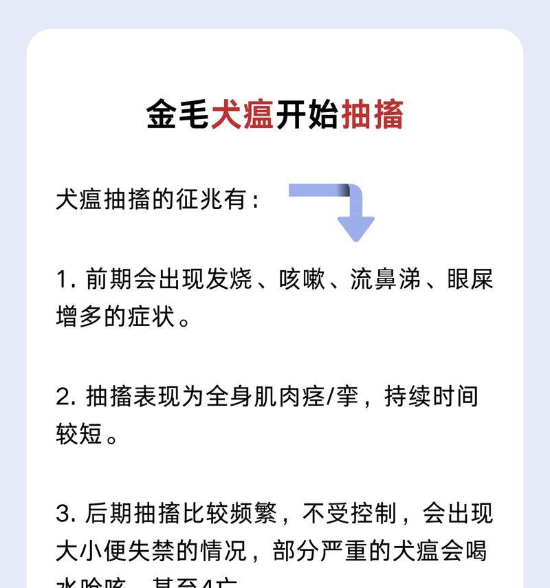 犬瘟症状揭秘（探究犬瘟症状及其关键表现，了解如何应对）