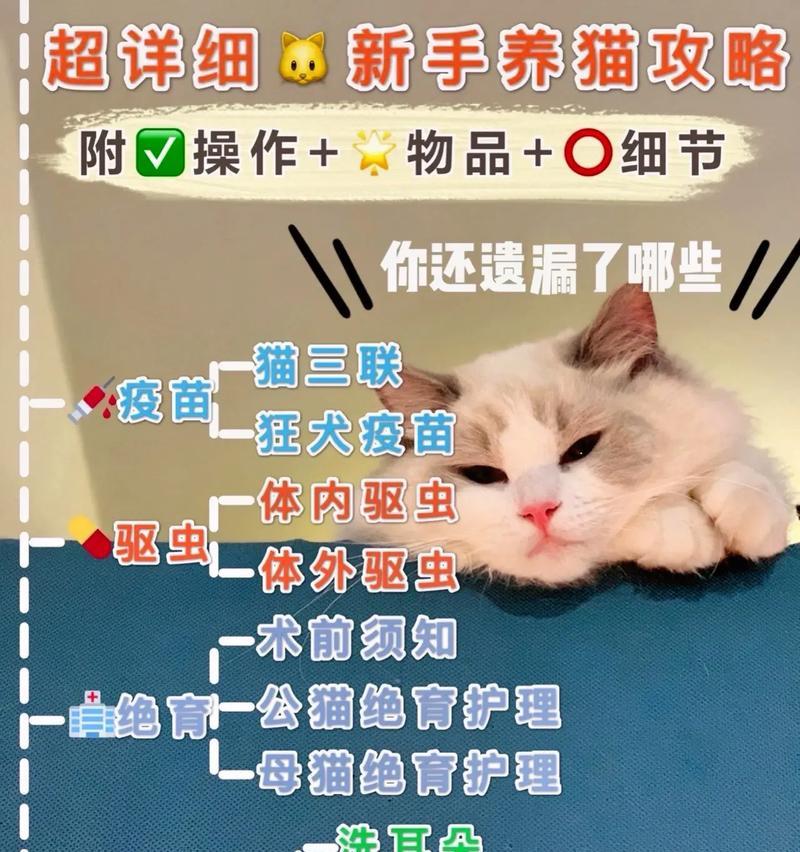 如何给猫咪清洁耳朵？（让你的猫咪远离耳朵垃圾，告别异味！）