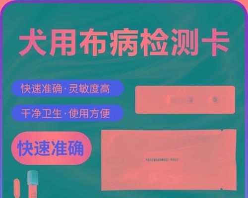 狗狗流产（了解狗狗流产的常见症状和潜在原因，保护你的毛孩健康）