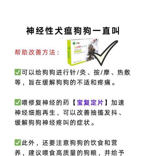 犬瘟（了解犬瘟的病状、潜伏期长短以及预防措施）