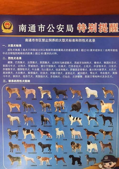 阿拉斯加犬喂养指南（全面指导你如何科学喂养你的阿拉斯加犬，让它健康快乐成长）