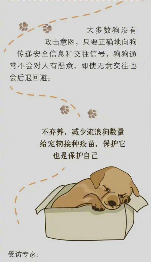 了解狗狗狂犬病，预防胜于治疗（详解感染、发作和预防的重要性）