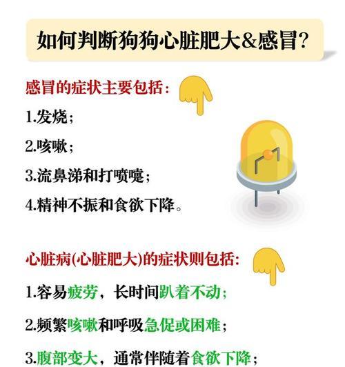 如何发现狗狗感冒？（狗狗感冒的症状了解一下）