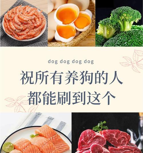 狗狗全方位掉毛的原因及解决方法（揭秘狗狗掉毛背后的真相，助你解决狗毛困扰）