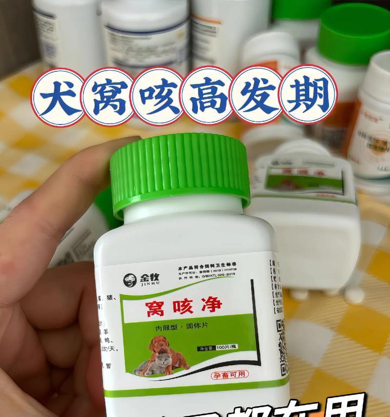 告别狗狗异味！远离宠物异味的方法，让你轻松养！（狗狗体味无处藏匿，如何有效处理？）