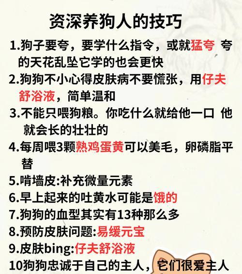 一个月大的小狗的饮食指南（养狗新手主人的必备参考，了解你的小狗该吃什么）