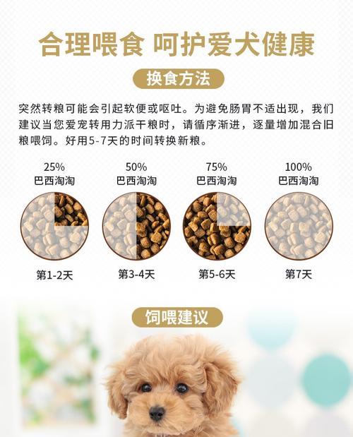 科学喂养泰迪幼犬，健康快乐成长（每日狗粮摄入量及喂食注意事项）