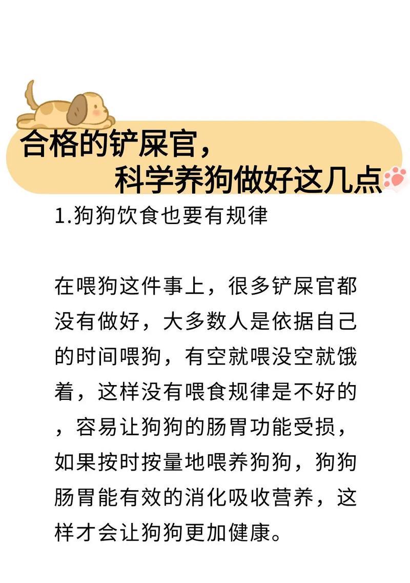 如何正确喂养40天大的幼犬（新手必看！给你的小狗提供适合它成长的食物）