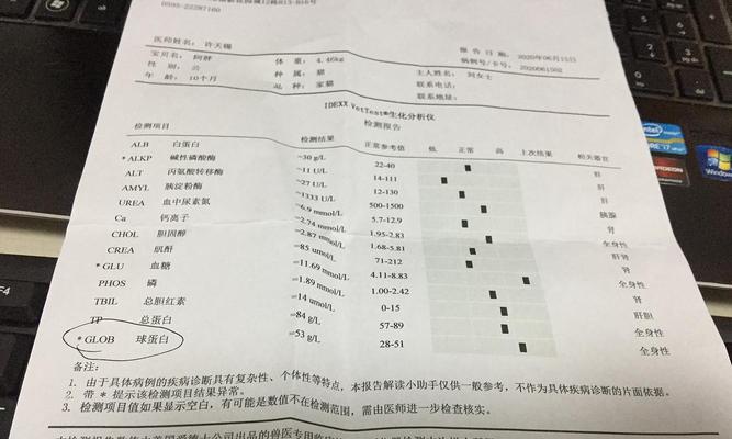 如何自己给猫咪做健康检查——猫咪发烧篇（宠物猫咪的主人们必看，发现猫咪发烧该怎么办？）