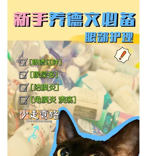 猫咪健康护理（了解猫咪的健康需求，避免无谓支出）