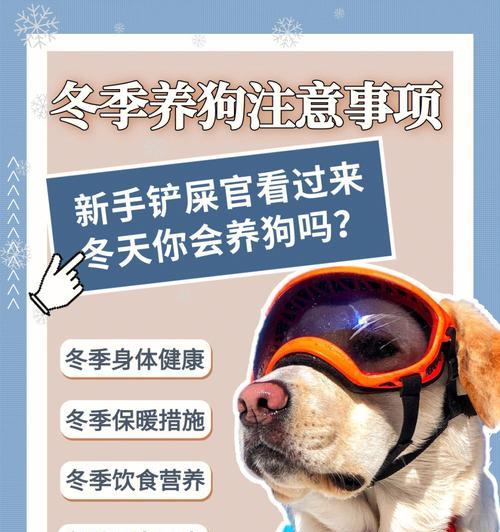 养狗必知（宠物狗犬的健康护航，疫苗注射是必不可少的一环）