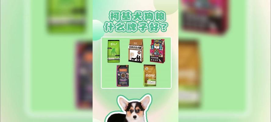 如何正确喂养柯基犬的狗粮？（以柯基的年龄、体重和活动水平为基准）