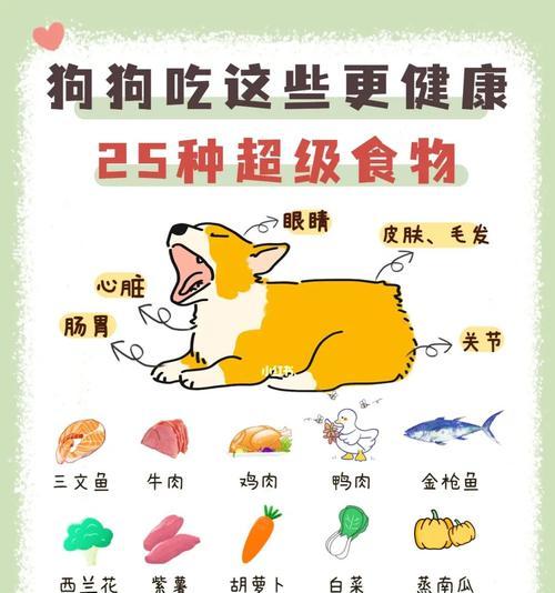 狗狗健康长寿的“食谱”（为你的爱犬提供健康均衡的营养）