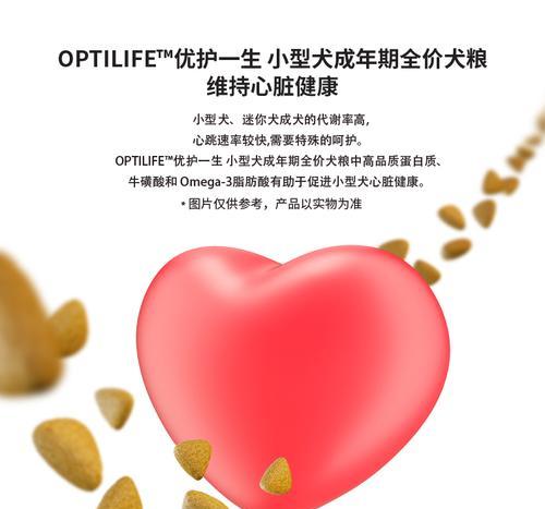 半岁泰迪狗粮适量喂养指南（了解适宜饮食量，让泰迪宝宝健康成长）