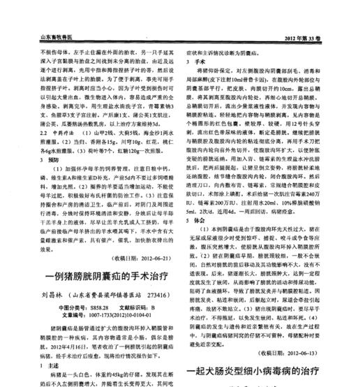 细小治疗方法和注意事项（保护爱宠免受细小侵袭，有效治疗的关键在于……）