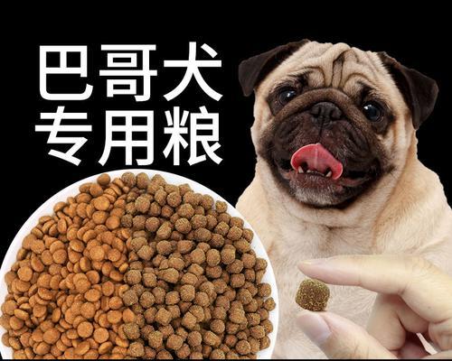 巴哥犬价格与影响因素解析（探究巴哥犬价格的多样性及其影响因素）