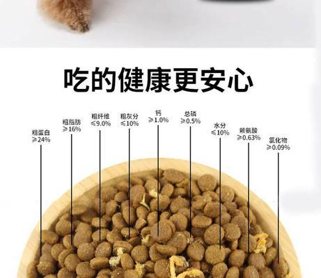 金毛狗的饮食之道（八分饱，让金毛健康快乐成长）