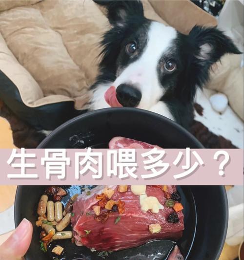 如何科学喂养你的狗狗（体型决定食量，合理饮食才能健康）